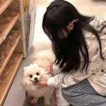 pg麻将胡了平台